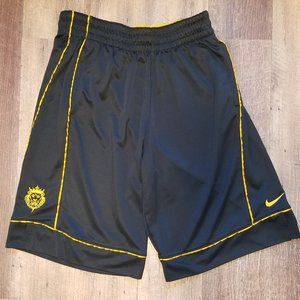 Nike LeBron lion logo Basketball Shorts, size L